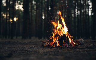 am Feuer vorbereiten